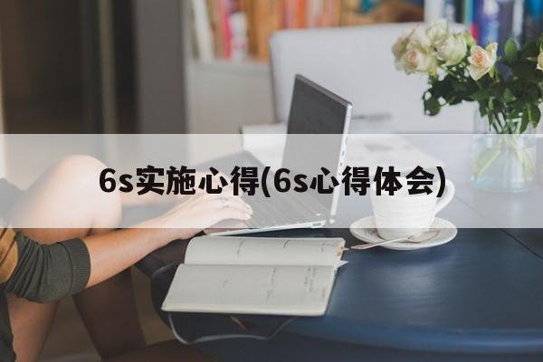 6s实施心得(6s心得体会)